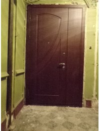 Входная металлическая дверь 05-65